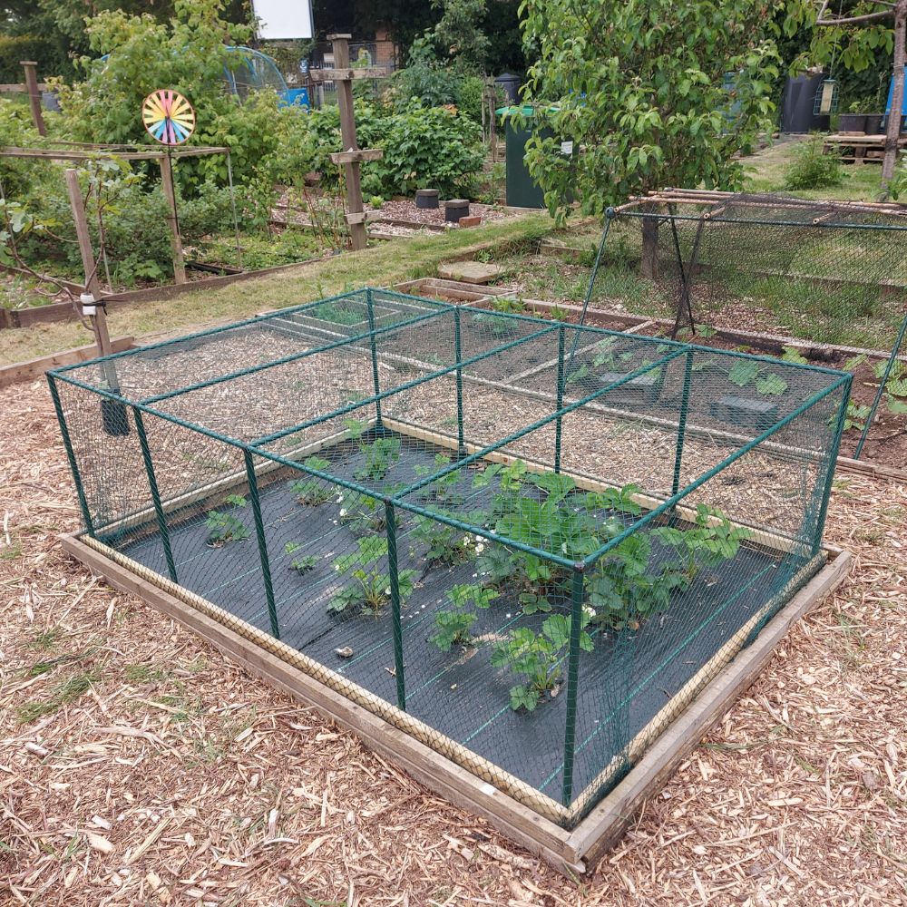 garden netting and cage