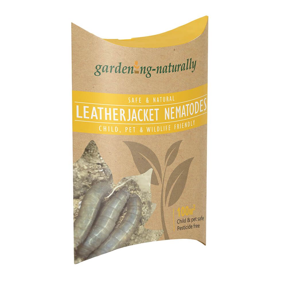Leatherjacket Nematodes - Garden Netting