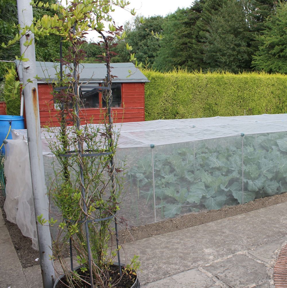 Low Cages with Veggiemesh - Garden Netting