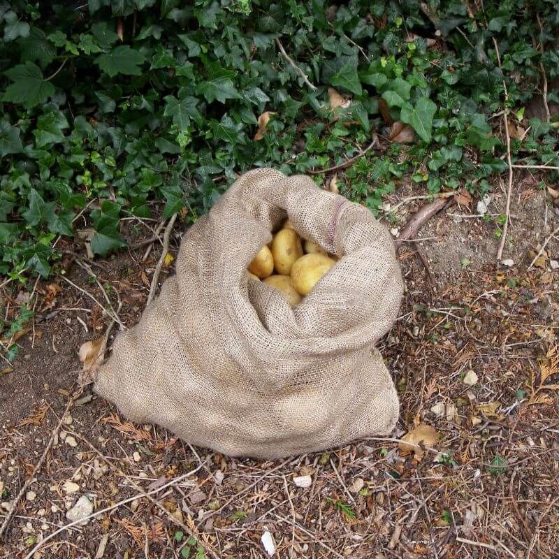 Potato Sacks - Garden Netting