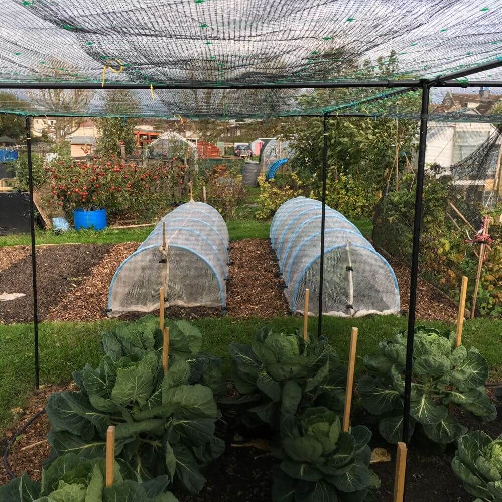 Premium Vegetable Cages - Garden Netting