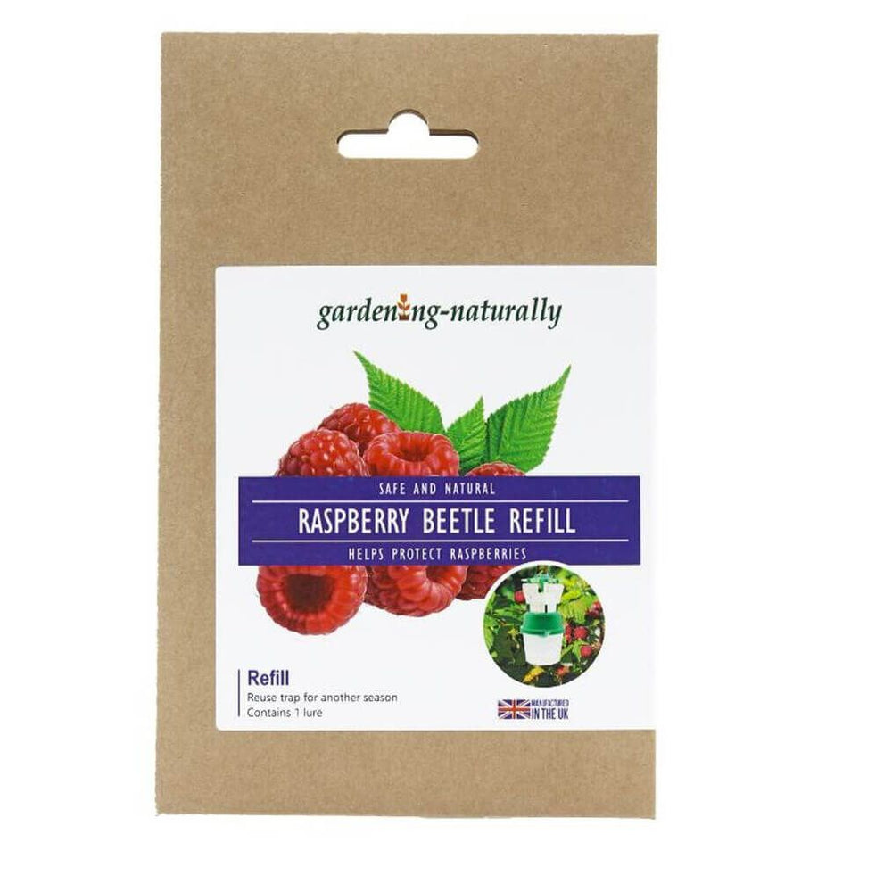 Raspberry Beetle Trap - Garden Netting