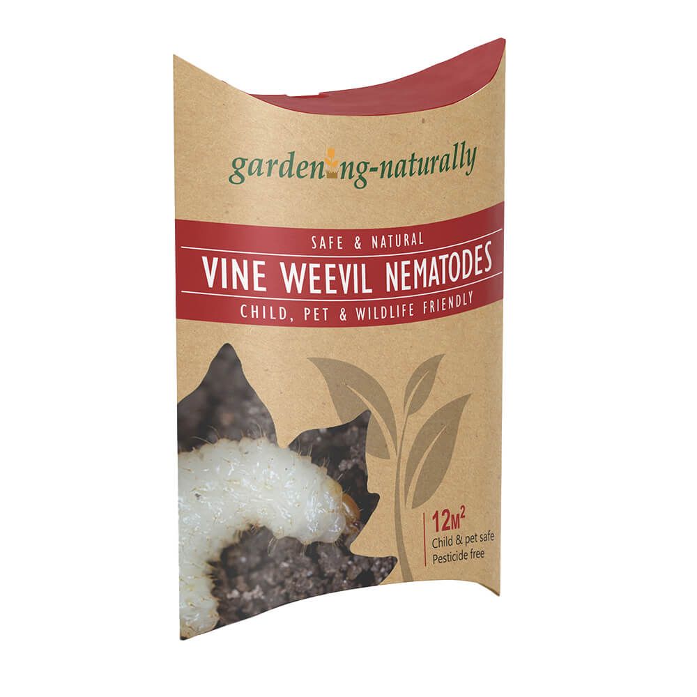 Vine Weevil Nematode - Garden Netting
