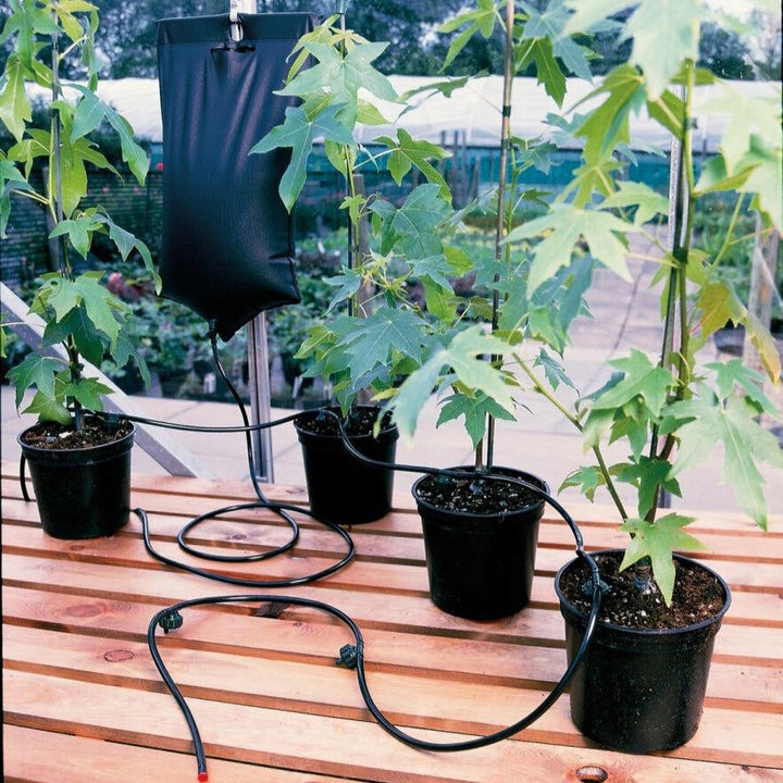 Big Drippa - Drip Watering Kit - Garden Netting