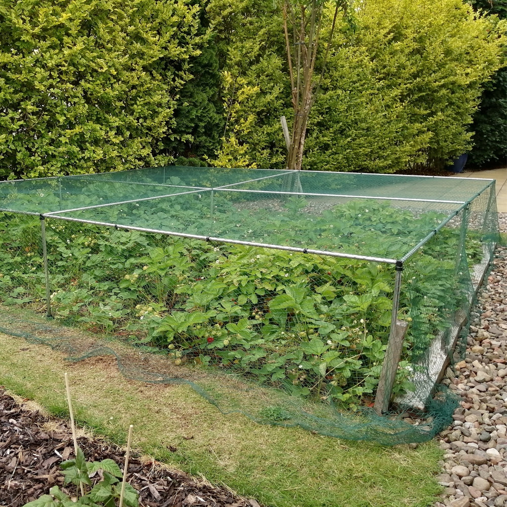 Low cages with Green Butterfly Netting