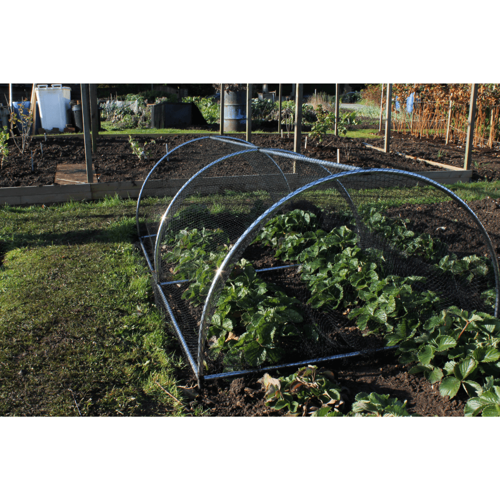 portable-plant-cloche - Garden Netting