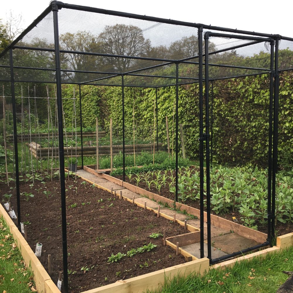Premium Fruit Cages with No Netting